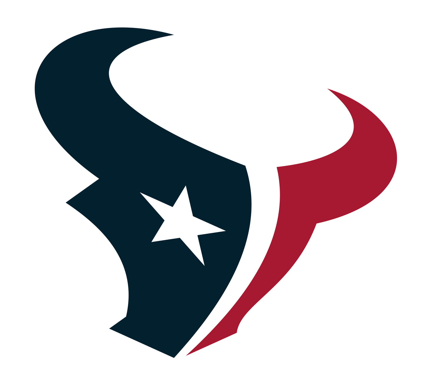 Houston Texans